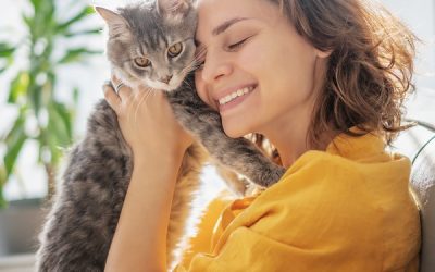 El Seguro de Mascotas y su relación con la nueva Normativa de Protección Animal